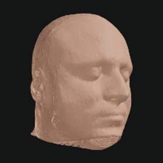 An oblique view rotating as skin and bone fade away, pause, and return.